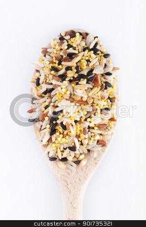 To use this stock image in your creative project, please select the size you need over to the right and click the "Add to Cart" button.
Your downloaded image will come with the Cutcaster watermark removed so don’t worry about the watermark you see on this page. Multi Raw grains stock photo, Multi Raw grains on wodden spoon, mixed of 12 different grains by szefei