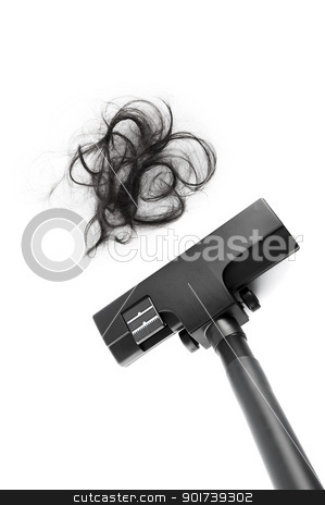 To use this stock image in your creative project, please select the size you need over to the right and click the "Add to Cart" button.
Your downloaded image will come with the Cutcaster watermark removed so don’t worry about the watermark you see on this page. Vacuum Cleaning stock photo, Vacuum cleaning fall hair on white background by szefei