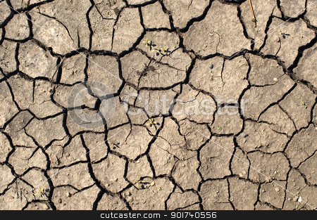 Drought. Drought. stock photo, Dry ground. by Yury Ponomarev