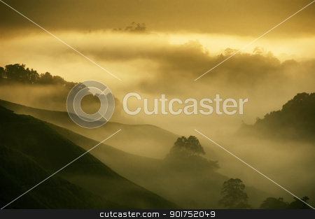 Tea Plantations. Tea Plantations. stock photo, Tea Plantations at Cameron Highlands Malaysia. Sunrise in early morning with fog. by szefei