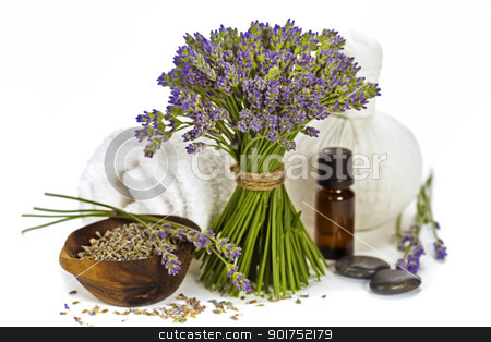 To use this stock image in your creative project, please select the size you need over to the right and click the "Add to Cart" button.
Your downloaded image will come with the Cutcaster watermark removed so don’t worry about the watermark you see on this page. lavender spa stock photo, lavender spa (fresh lavender flowers, towel, essential oil, pebbles, Herbal massage balls) over white by klenova