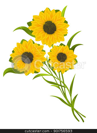 To use this stock image in your creative project, please select the size you need over to the right and click the "Add to Cart" button.
Your downloaded image will come with the Cutcaster watermark removed so don’t worry about the watermark you see on this page. Sunflowers stock vector clipart, Sunflowers illustration, isolated and grouped objects over white background. by Richard Laschon