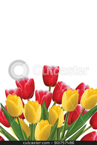 To use this stock image in your creative project, please select the size you need over to the right and click the "Add to Cart" button.
Your downloaded image will come with the Cutcaster watermark removed so don’t worry about the watermark you see on this page. Tulips stock photo, Red and yellow tulips isplated on white background by Diana