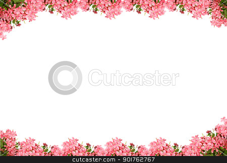 To use this stock image in your creative project, please select the size you need over to the right and click the "Add to Cart" button.
Your downloaded image will come with the Cutcaster watermark removed so don’t worry about the watermark you see on this page. Pink flowers stock photo, Pink flowers on sky background by Diana