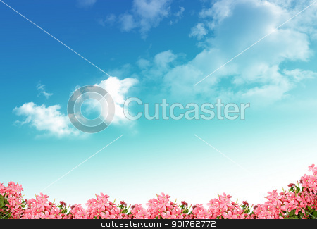 To use this stock image in your creative project, please select the size you need over to the right and click the "Add to Cart" button.
Your downloaded image will come with the Cutcaster watermark removed so don’t worry about the watermark you see on this page. Pink flowers stock photo, Pink flowers on sky background by Diana
