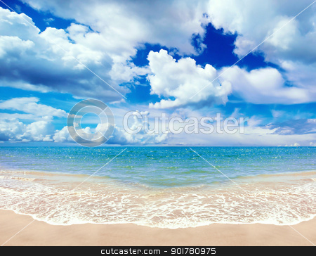 To use this stock image in your creative project, please select the size you need over to the right and click the "Add to Cart" button.
Your downloaded image will come with the Cutcaster watermark removed so don’t worry about the watermark you see on this page. Tropical Coast stock photo, Wide angle image of a sandy tropical coast by HypnoCreative