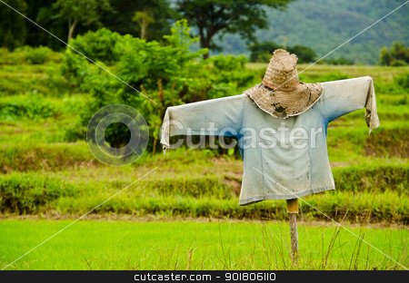 Thai Scarecrow in rice green field Thai Scarecrow in rice green field stock photo, Thai Scarecrow in rice green field by moggara12