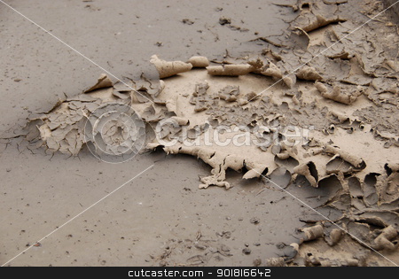 To use this stock image in your creative project, please select the size you need over to the right and click the "Add to Cart" button.
Your downloaded image will come with the Cutcaster watermark removed so don’t worry about the watermark you see on this page. Drought stock photo, Drought in a city by Vadim