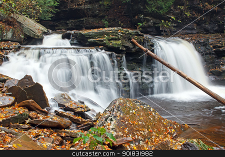 To use this stock image in your creative project, please select the size you need over to the right and click the "Add to Cart" button.
Your downloaded image will come with the Cutcaster watermark removed so don’t worry about the watermark you see on this page. Waterfall with Autumn Leaves stock photo, Waterfall at Ricketts Glen State Park,Benton,Pennsylvania,USA. by Delmas Lehman