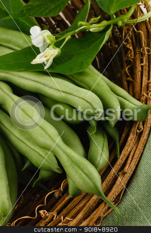 Fresh Green Beans Fresh Green Beans stock photo, Garden fresh green beans, also known as string beans or runner beans, are a healthy vegetable and part of a nutritious diet. by Karen Sarraga