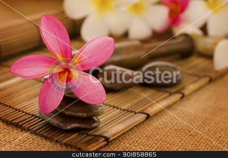 To use this stock image in your creative project, please select the size you need over to the right and click the "Add to Cart" button.
Your downloaded image will come with the Cutcaster watermark removed so don’t worry about the watermark you see on this page. Tropical spa stock photo, Tropical spa with Frangipani flowers. Low lighting, suitable for spa related theme. by szefei