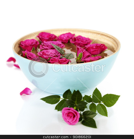 To use this stock image in your creative project, please select the size you need over to the right and click the "Add to Cart" button.
Your downloaded image will come with the Cutcaster watermark removed so don’t worry about the watermark you see on this page. pink roses in bowl stock photo, Close up of Beautiful pink roses in bowl over white by klenova