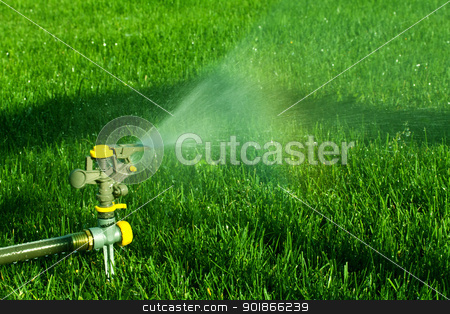 Summertime Sprinkler Summertime Sprinkler stock photo, a sprinkler watering a lawn by Rachel Duchesne