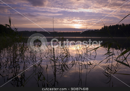 To use this stock image in your creative project, please select the size you need over to the right and click the "Add to Cart" button.
Your downloaded image will come with the Cutcaster watermark removed so don’t worry about the watermark you see on this page. Sunrise. stock photo, Sunrise over the lake, silhouettes of water plants, aRGB. by Piotr Skubisz