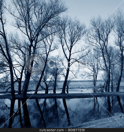 Mirror Mirror stock photo, Tree reflections on the water surface. Photo taken in the Elbe Valley, a nature reserve on the Elbe. by Bastian Kienitz