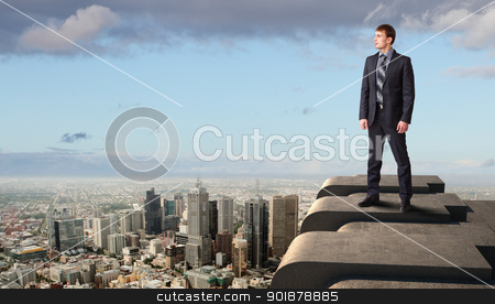 Businessman and cityscape Businessman and cityscape stock photo, Business man standing high over a cityscape by Sergey Nivens