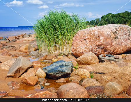 To use this stock image in your creative project, please select the size you need over to the right and click the "Add to Cart" button.
Your downloaded image will come with the Cutcaster watermark removed so don’t worry about the watermark you see on this page. Sea rocky beach stock photo, Sea rocky beach in sunny day, blue cloudy sky by Sergej Razvodovskij