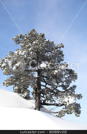 Snowy hill Snowy hill stock photo, Snowy hill by photography33