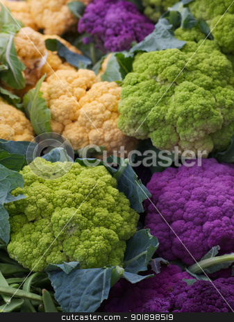 Purple Green Orange Cauliflower Purple Green Orange Cauliflower stock photo, Pile of Purple Green Orange Cauliflower at the farmers market by bobkeenan