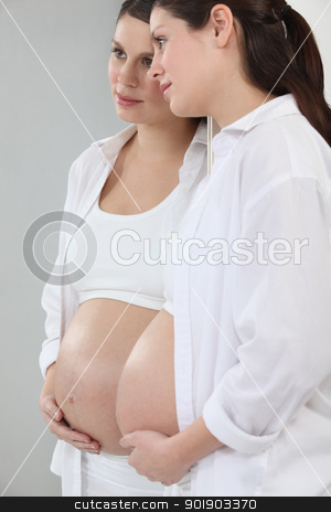 To use this stock image in your creative project, please select the size you need over to the right and click the "Add to Cart" button.
Your downloaded image will come with the Cutcaster watermark removed so don’t worry about the watermark you see on this page. Pregnant brunette. stock photo, Pregnant brunette. by photography33