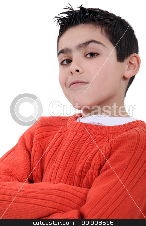 A self-assured boy A self-assured boy stock photo, A self-assured boy by photography33