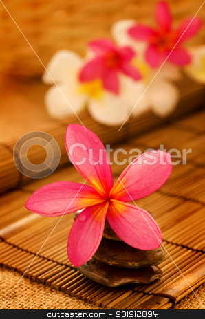 To use this stock image in your creative project, please select the size you need over to the right and click the "Add to Cart" button.
Your downloaded image will come with the Cutcaster watermark removed so don’t worry about the watermark you see on this page. Tropical spa with Frangipani flowers. stock photo, Tropical spa with Frangipani flowers in low lighting, suitable for spa related theme. by szefei