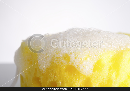 To use this stock image in your creative project, please select the size you need over to the right and click the "Add to Cart" button.
Your downloaded image will come with the Cutcaster watermark removed so don’t worry about the watermark you see on this page. bath stock photo, Sponge covered in soap suds by eskaylim