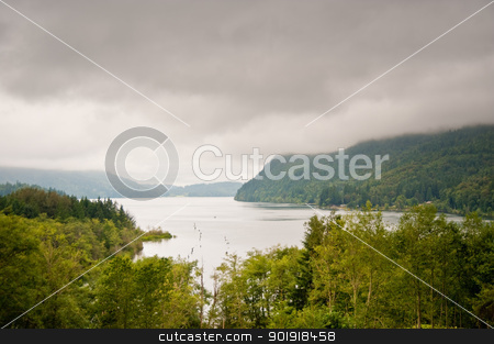 To use this stock image in your creative project, please select the size you need over to the right and click the "Add to Cart" button.
Your downloaded image will come with the Cutcaster watermark removed so don’t worry about the watermark you see on this page. Lake Whatcom stock photo, Overlooking Lake Whatcom in WA by Jaime Pharr