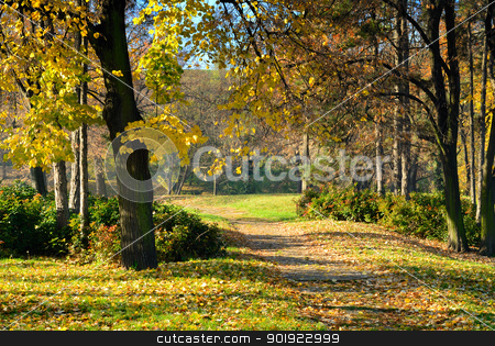 Autumn in Park Autumn in Park stock photo, Walking path through park in early autumn morning with fall color leaves by zagart