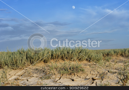 Arid landscape with cracked mud Arid landscape with cracked mud stock photo, Arid landscape with cracked mud and sparse tufted grass conceptual of climatic change and drought due to global warming by ekipaj