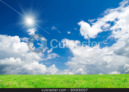 To use this stock image in your creative project, please select the size you need over to the right and click the "Add to Cart" button.
Your downloaded image will come with the Cutcaster watermark removed so don’t worry about the watermark you see on this page. field stock photo, field on a background of the blue sky by Vitaliy Pakhnyushchyy