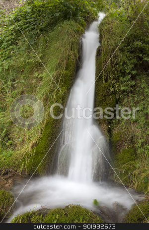 To use this stock image in your creative project, please select the size you need over to the right and click the "Add to Cart" button.
Your downloaded image will come with the Cutcaster watermark removed so don’t worry about the watermark you see on this page. Waterfall, Aguas Candidas, Burgos, Castilla y Leon, Spain stock photo, Waterfall, Aguas Candidas, Burgos, Castilla y Leon, Spain by B.F.