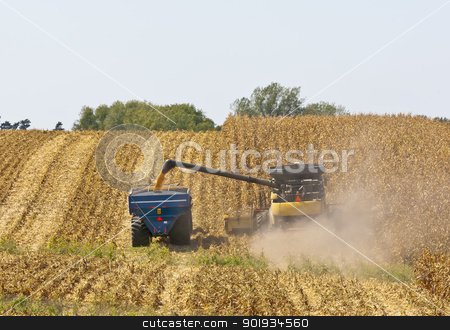 Iowa Cornfields Iowa Cornfields stock photo, A combine and a tractor work to harvest a Midwest corn crop in Northeast Iowa. by Walter Arce
