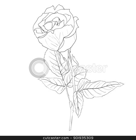 To use this stock image in your creative project, please select the size you need over to the right and click the "Add to Cart" button.
Your downloaded image will come with the Cutcaster watermark removed so don’t worry about the watermark you see on this page. floral design element and hand-drawn , vector illustration stock photo, floral design element and hand-drawn , vector illustration by aarrows