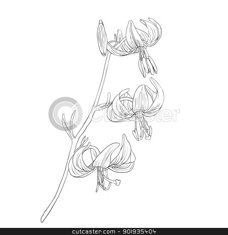 To use this stock image in your creative project, please select the size you need over to the right and click the "Add to Cart" button.
Your downloaded image will come with the Cutcaster watermark removed so don’t worry about the watermark you see on this page. Beautiful flowers on a white background drawn by hand stock photo, Beautiful flowers on a white background drawn by hand , vector illustration by aarrows