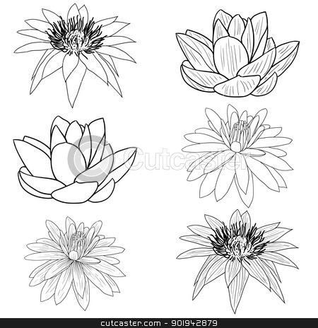 Oriental lotus - a flower Oriental lotus - a flower stock vector clipart, Oriental lotus - a flower Vector illustration. by aarrows