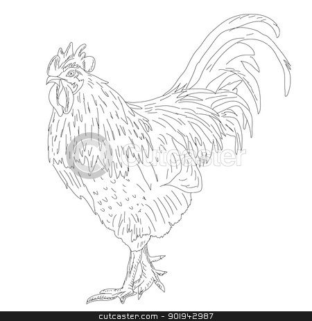 To use this stock image in your creative project, please select the size you need over to the right and click the "Add to Cart" button.
Your downloaded image will come with the Cutcaster watermark removed so don’t worry about the watermark you see on this page. Proud Rooster - Retro Ad Art Illustration stock vector clipart, Proud Rooster - Retro Ad Art Illustration by aarrows