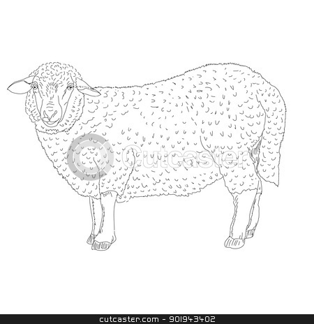 To use this stock image in your creative project, please select the size you need over to the right and click the "Add to Cart" button.
Your downloaded image will come with the Cutcaster watermark removed so don’t worry about the watermark you see on this page. sheep painted by hand stock vector clipart, sheep painted by hand vector illustration by aarrows