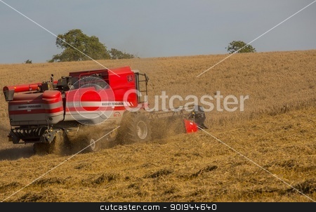 To use this stock image in your creative project, please select the size you need over to the right and click the "Add to Cart" button.
Your downloaded image will come with the Cutcaster watermark removed so don’t worry about the watermark you see on this page. Beating the Weather 3 stock photo, Farmer and Combined Harvester processing a wheat field in West Somerset, England. by Trevor Jordan