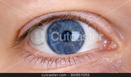 Blue eye from a woman Blue eye from a woman stock photo, Eye from a woman by Picturehunter