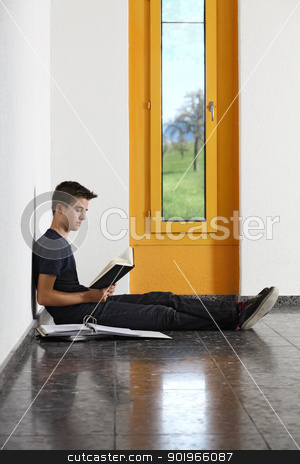 Reading in school Reading in school stock photo, Photo of a young student reading a book in the hallway of his school.
by © Ron Sumners
