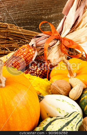 Fall Harvest Decoration With Pumpkins, Gourds And Indian Corn Fall Harvest Decoration With Pumpkins, Gourds And Indian Corn stock photo, Colorful autumn harvest vegetables make a colorful Fall decoration sitting in a basket against a wood background by Karen Sarraga