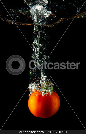 To use this stock image in your creative project, please select the size you need over to the right and click the "Add to Cart" button.
Your downloaded image will come with the Cutcaster watermark removed so don’t worry about the watermark you see on this page. fresh tomato under water stock photo, fresh tomato uder water on black background by Sergey Nivens