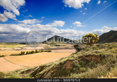 Landscape And Tree Landscape And Tree stock photo, Rural landscape with tree and crop fields by carloscastilla