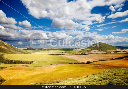 To use this stock image in your creative project, please select the size you need over to the right and click the "Add to Cart" button.
Your downloaded image will come with the Cutcaster watermark removed so don’t worry about the watermark you see on this page. Wheat field landscape stock photo, Landscape with fields and blue sky with clouds by carloscastilla