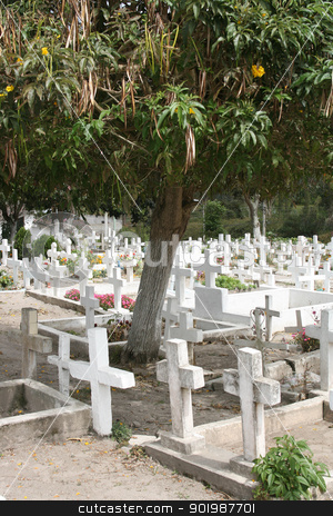 Crosses in an Ecuadorian Cemetery Crosses in an Ecuadorian Cemetery stock photo, White crosses in an Ecuadorian Catholic Cemetery with a fruit tree in Cotacachi, Ecuador by Robert Hamm