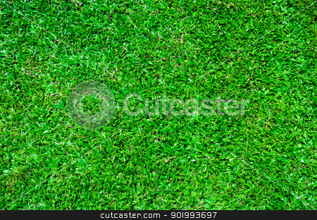 To use this stock image in your creative project, please select the size you need over to the right and click the "Add to Cart" button.
Your downloaded image will come with the Cutcaster watermark removed so don’t worry about the watermark you see on this page. Lawn stock photo, by aoo3771