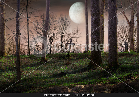 To use this stock image in your creative project, please select the size you need over to the right and click the "Add to Cart" button.
Your downloaded image will come with the Cutcaster watermark removed so don’t worry about the watermark you see on this page. Night with a full moon over the cemetery stock photo, Night with a full moon over the cemetery by ARNIS LAZDINS