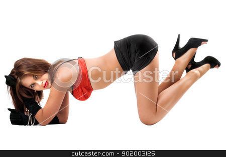To use this stock image in your creative project, please select the size you need over to the right and click the "Add to Cart" button.
Your downloaded image will come with the Cutcaster watermark removed so don’t worry about the watermark you see on this page. Attractive woman on all fours stock photo, Attractive woman on all fours. Isolated on white by Sergii Sukhorukov