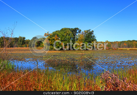 Kent lake Kent lake stock photo, Autumn reflections in Kent lake near Detroit by Sreedhar Yedlapati